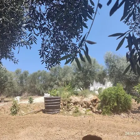 Holiday home Corfu Oasis Neochorakion