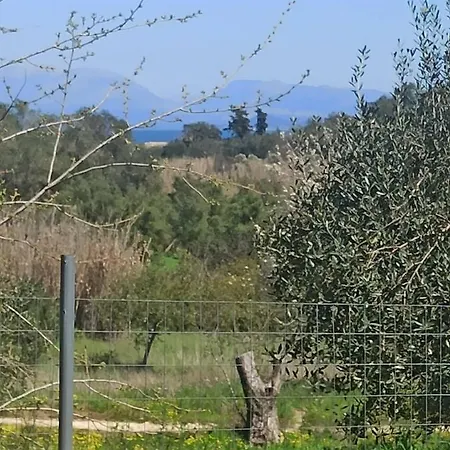 Corfu Oasis Holiday home