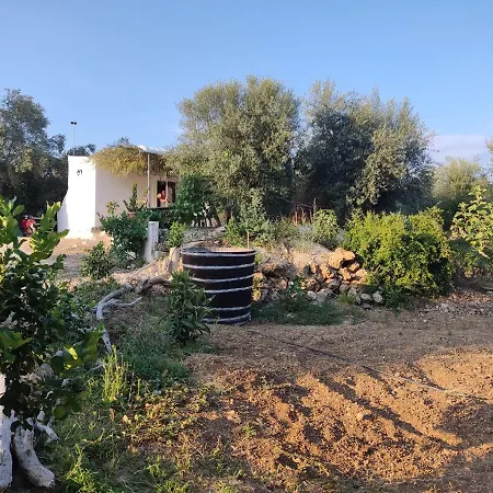 Holiday home Corfu Oasis *